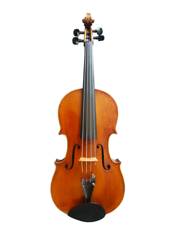 violabild Viola